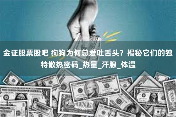 金证股票股吧 狗狗为何总爱吐舌头？揭秘它们的独特散热密码_热量_汗腺_体温