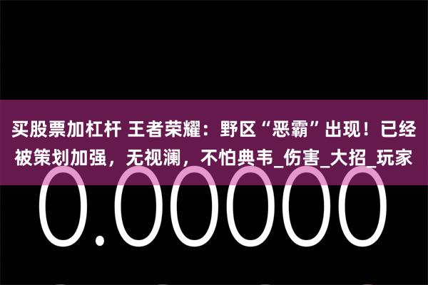 买股票加杠杆 王者荣耀：野区“恶霸”出现！已经被策划加强，无视澜，不怕典韦_伤害_大招_玩家