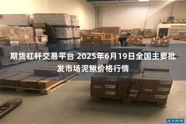 期货杠杆交易平台 2025年6月19日全国主要批发市场泥鳅价格行情