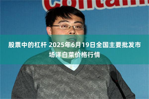 股票中的杠杆 2025年6月19日全国主要批发市场洋白菜价格行情