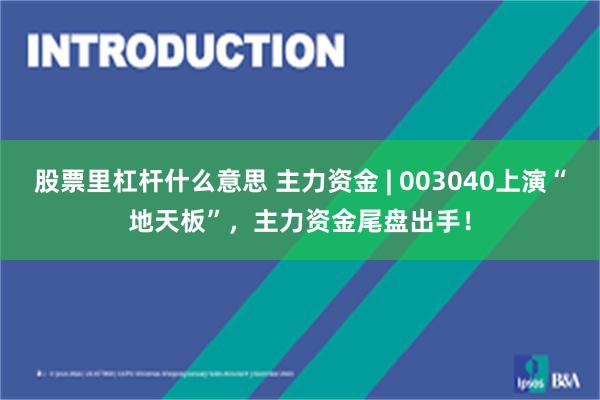 股票里杠杆什么意思 主力资金 | 003040上演“地天板”，主力资金尾盘出手！