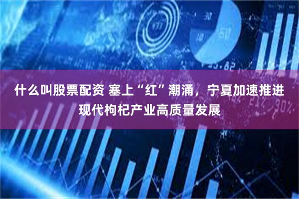 什么叫股票配资 塞上“红”潮涌，宁夏加速推进现代枸杞产业高质量发展