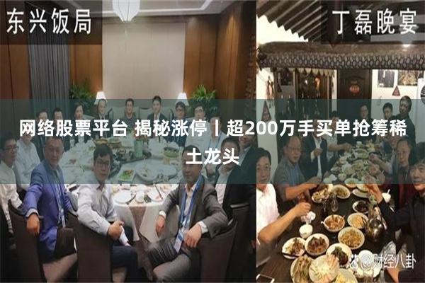 网络股票平台 揭秘涨停丨超200万手买单抢筹稀土龙头