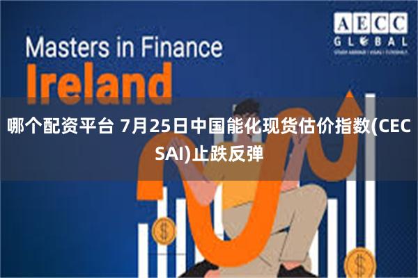 哪个配资平台 7月25日中国能化现货估价指数(CECSAI)止跌反弹
