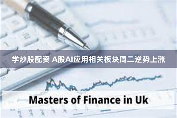 学炒股配资 A股AI应用相关板块周二逆势上涨