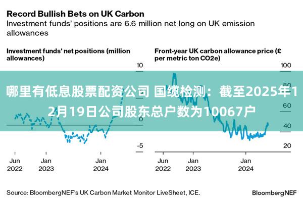 哪里有低息股票配资公司 国缆检测：截至2025年12月19日公司股东总户数为10067户